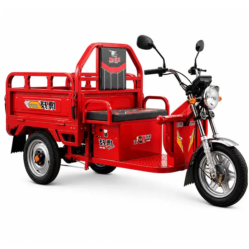 Triciclo electrico 300KG2