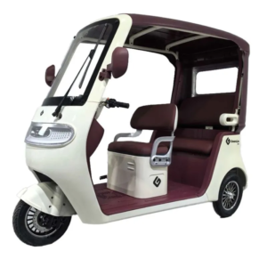 Triciclo Eléctrico TM9 PRO Doble Asiento 800w