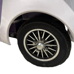 Triciclo Eléctrico TM9 PRO Doble Asiento 800w