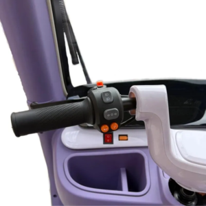 Triciclo Eléctrico TM9 PRO Doble Asiento 800w