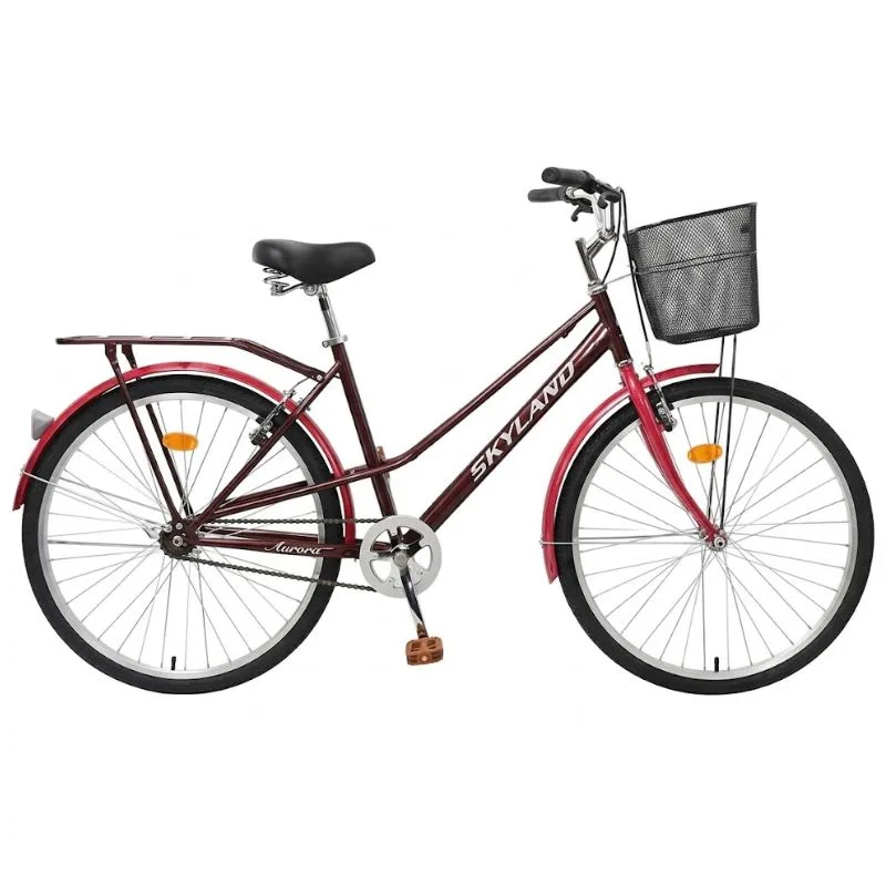 bicicletaskylandaurora