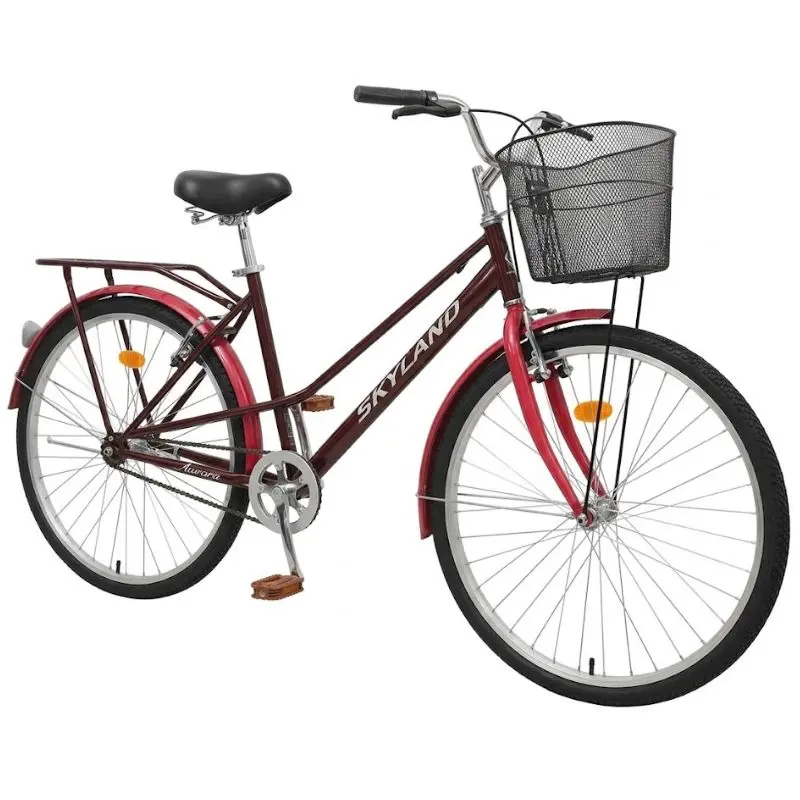 bicicletaskylandaurora3